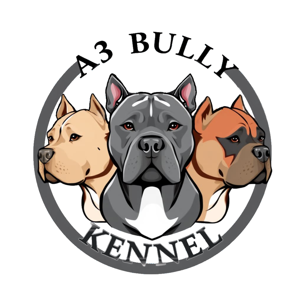 Наш питомник A3 Bully