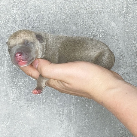 Забота с первых дней