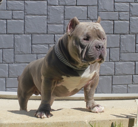 Титулованные производители: