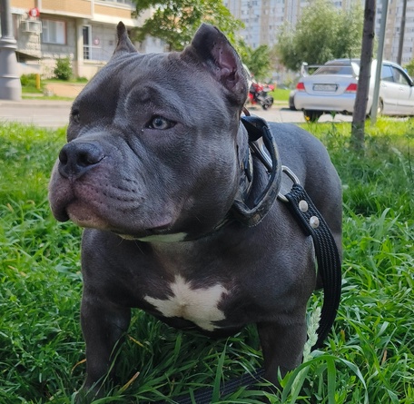 Документы и поддержка: