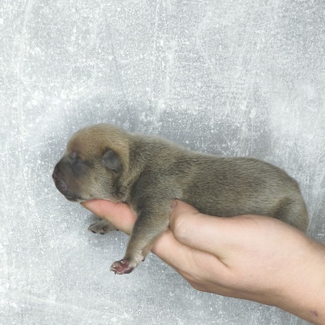 Забота с первых дней