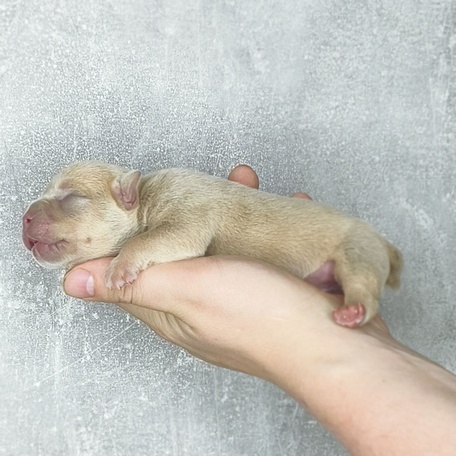 Забота с первых дней