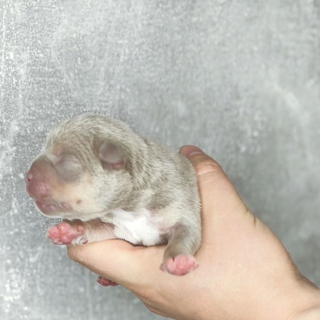 Забота с первых дней