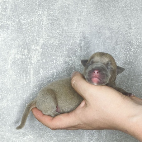 Забота с первых дней