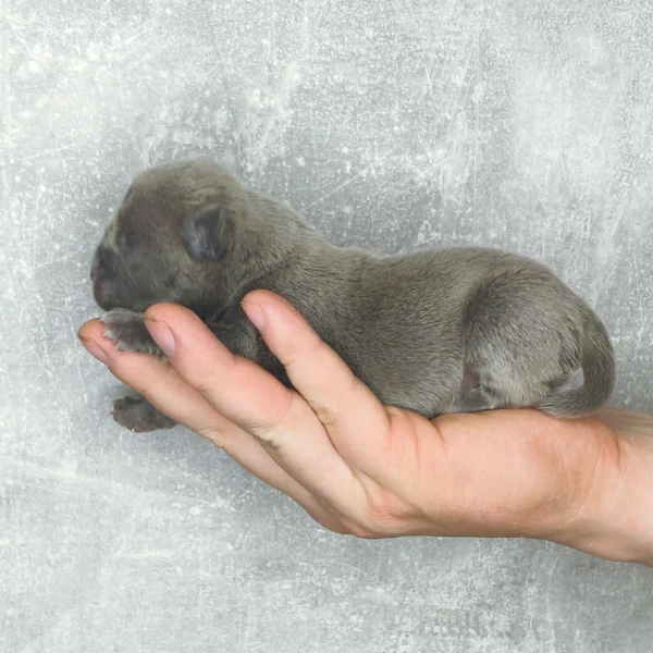 Забота с первых дней