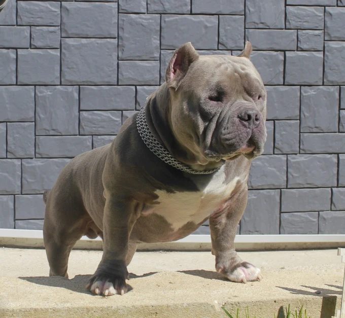 Титулованные производители: