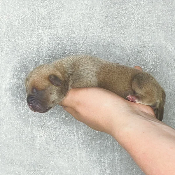 Забота с первых дней