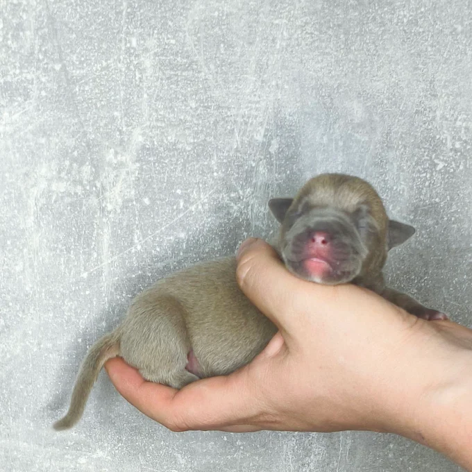 Забота с первых дней